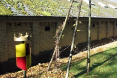 i284852689377311788._szw1280h1280_